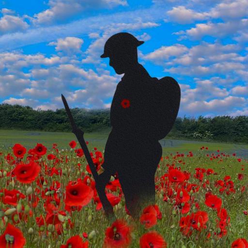 25 05 07 Soldier Poppy 1